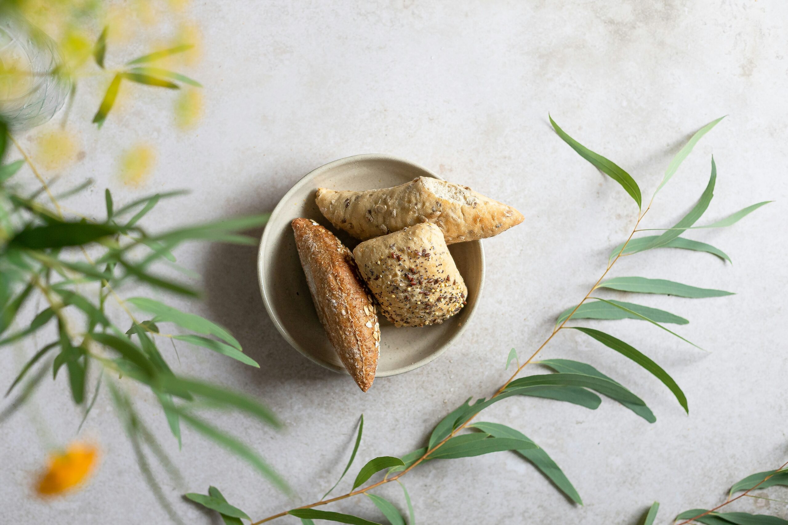 turmeric powder for pets