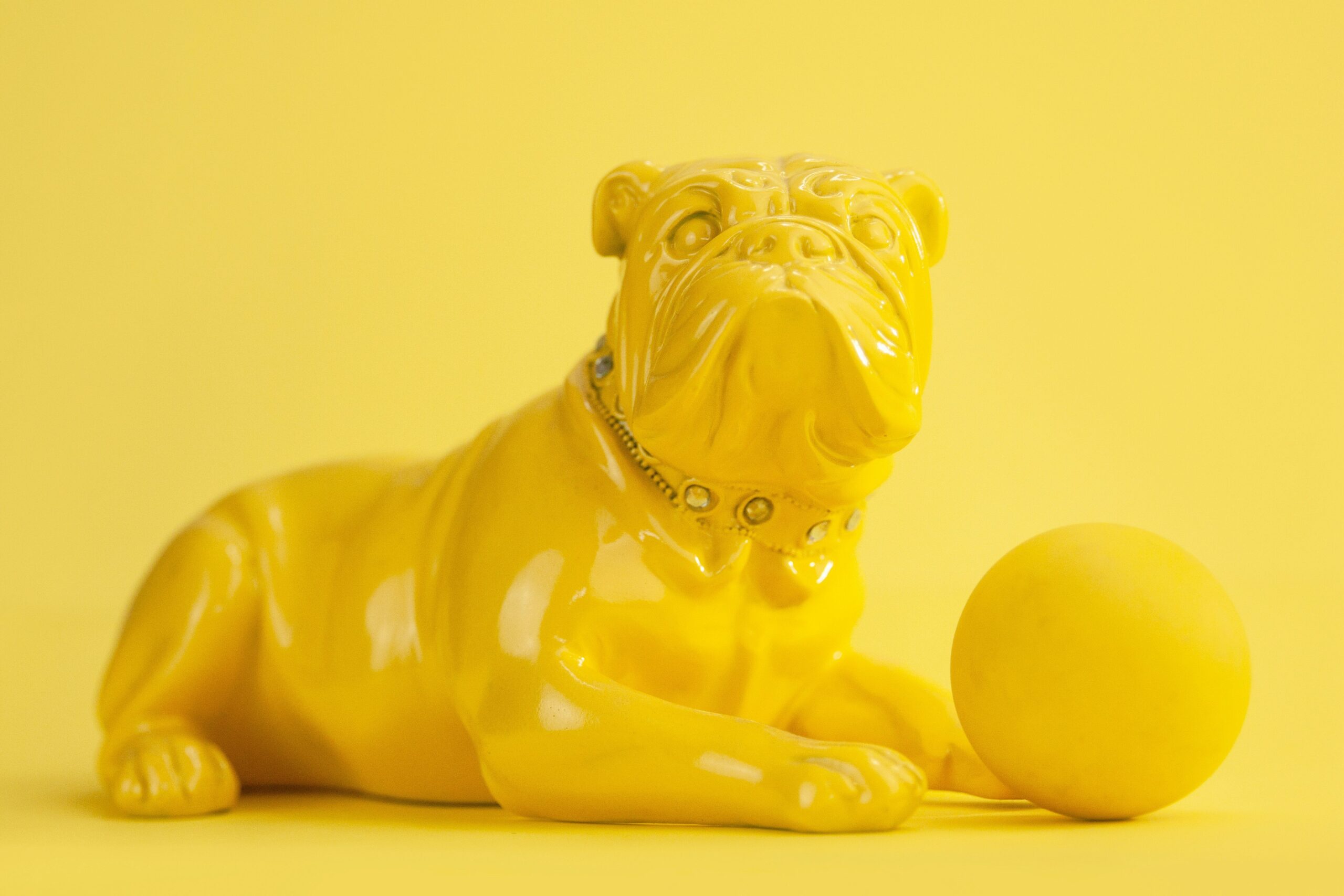 Turmeric for Ear Infections: The Ultimate Guide to Healing Your Pet Naturally