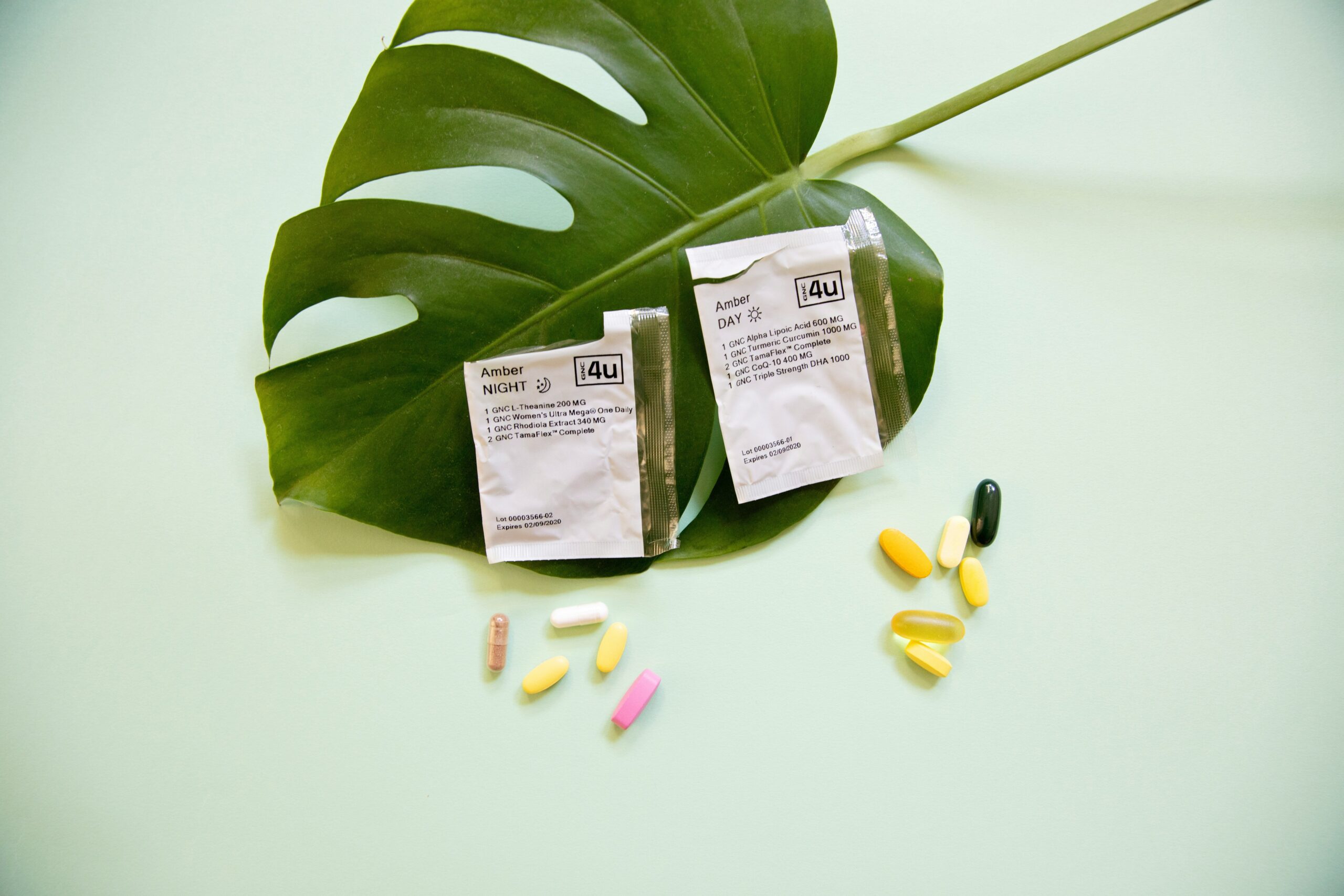 Turmeric for Post-Surgery Recovery: A Natural Boost for Your Pet’s Healing Journey