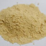 Curcumin Anti-Inflammatory Benefits: Why Your Pet Needs This Golden Spice