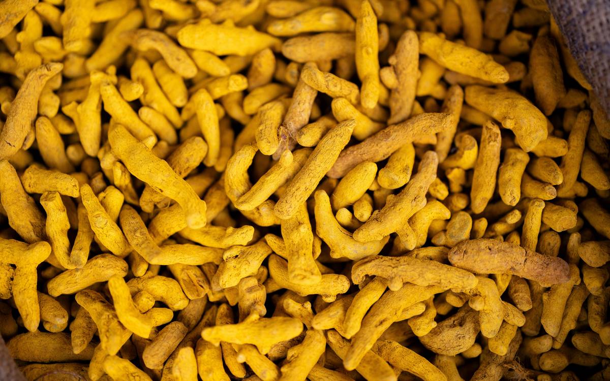 Turmeric Inflammation Support: The Ultimate Guide to Boosting Your Pet’s Health