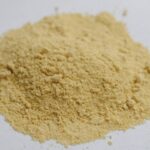 Turmeric Joint Wellness for Pets: The Ultimate Guide to Boosting Mobility Naturally